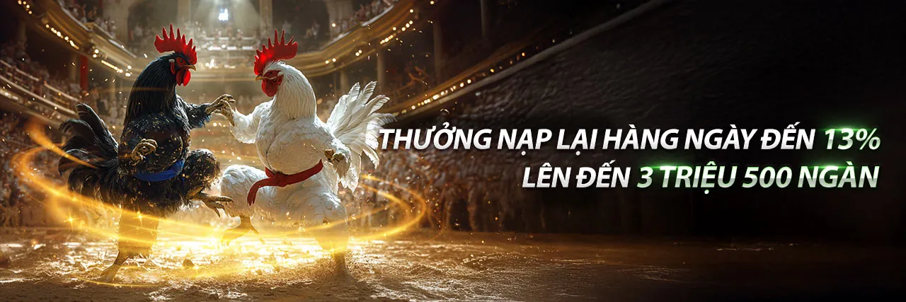 Sân vận động với màn hình hiển thị tỷ lệ nhà cái